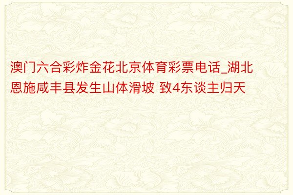 澳门六合彩炸金花北京体育彩票电话_湖北恩施咸丰县发生山体滑坡 致4东谈主归天