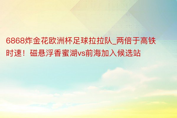 6868炸金花欧洲杯足球拉拉队_两倍于高铁时速！磁悬浮香蜜湖vs前海加入候选站